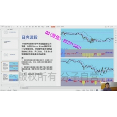 xiong 订单流多空数据图形化交易逻辑分子风云决系统 外汇内部培训视频课程