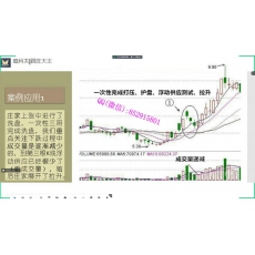 跟庄大王 供需逻辑主力操盘威科夫全周期交易体系 股票期货外汇实战培训视频课程